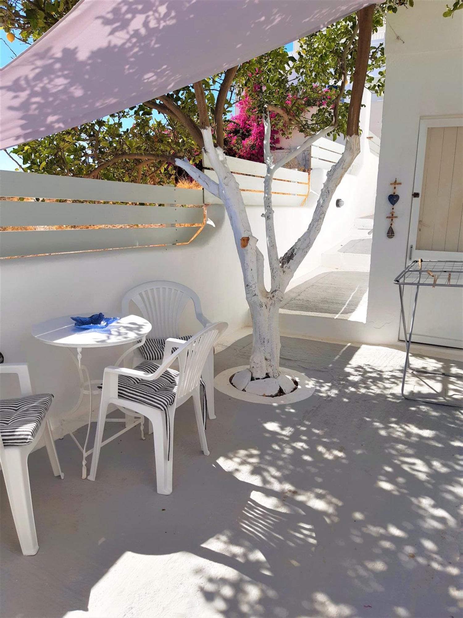 Lemon Tree Maisonette - Naoussa Paros エクステリア 写真
